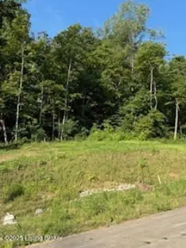 Wooded Lot in Sycamore Run