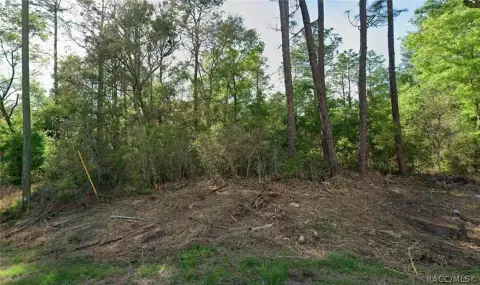 Residential Lot for Custom Home