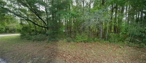 Residential Lot with Homesite Space