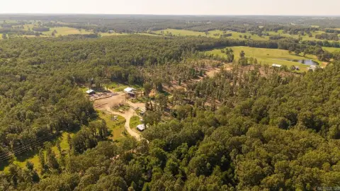 20 Acres of Wooded Land