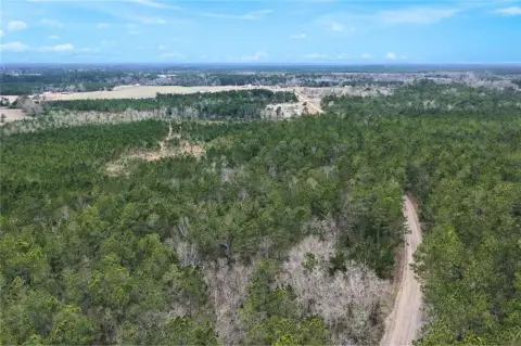 Odum, GA Farm/Timber Homesite