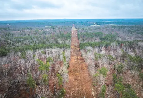 65 Acres of Wooded Land