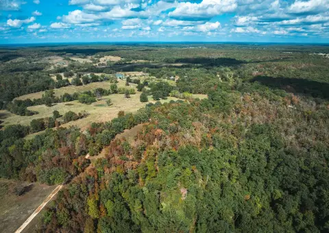 20 Acres Near National Forest