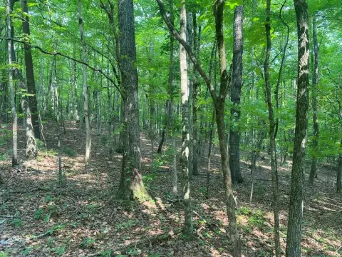 Ellijay, GA Vacant Land