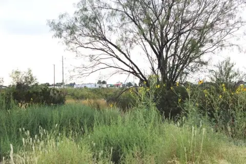 Land in Fort Stockton, TX