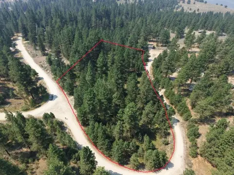 Forested Residential Land Parcel