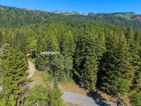 Wooded Recreation Land Parcel