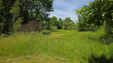 Marengo, OH - Wooded Lot