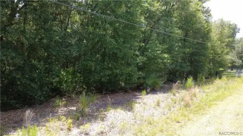 Residential Land Homesite