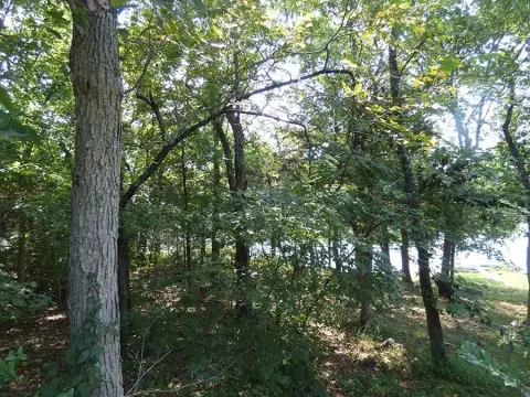 Lakefront Lot on No-Wake Lake