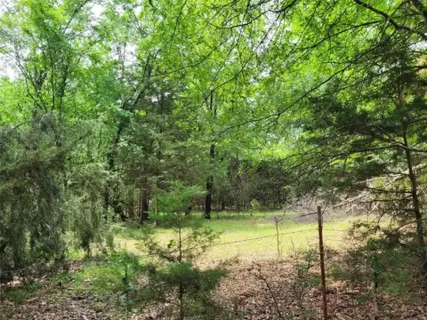 Wooded Land Near Clarksville, TX