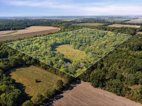Wooded Hunting Land