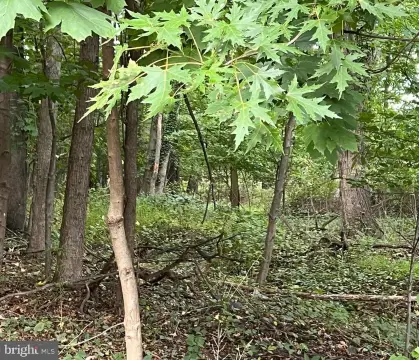 Land For Sale, Hamilton, NJ