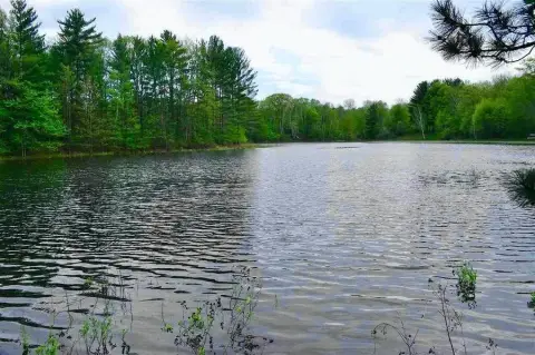 Land with Cherokee Lake Frontage