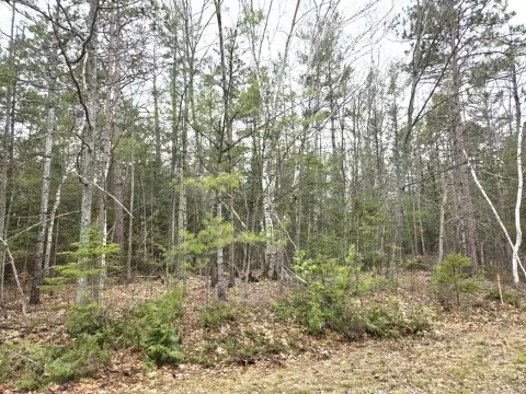 Land Near Lake Huron Access
