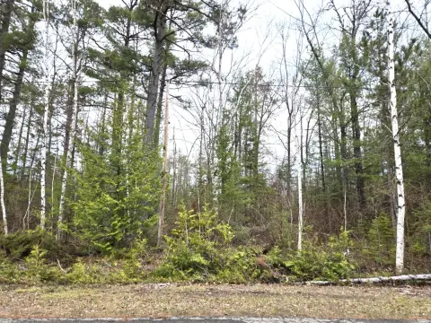 Land in Presque Isle Harbor