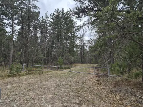 80 Acres Near AuSable River