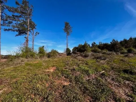 18 Acres Vacant Land, Dozier