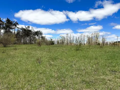 32 Acres Near Gaylord
