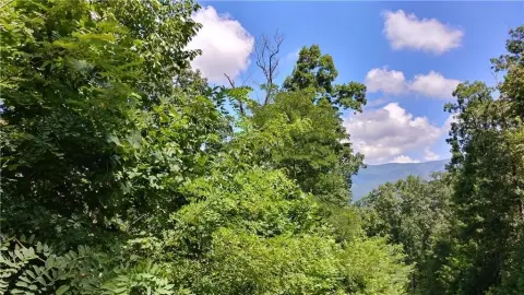Gently Sloped Mountain Homesite