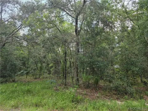 Residential Buildable Homesite