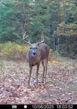 National City Vacant Waterfront Land