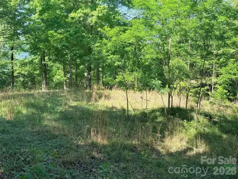 Lake Lure Mountain View Land