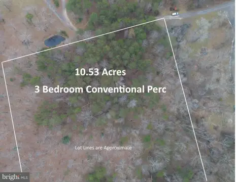 Secluded Locust Grove Agricultural Land