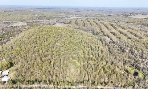 Wooded Hunting Land with Cleared Driveway