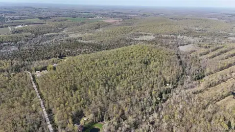 Wooded Hunting Land with Driveway