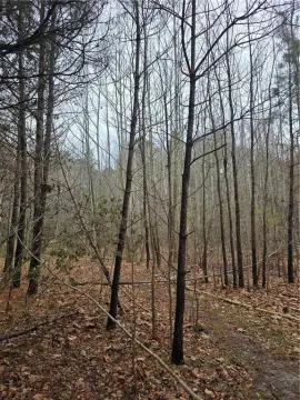 Suffolk, VA Acreage Available