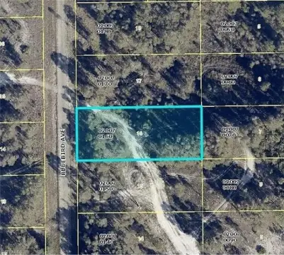 Lehigh Acres Vacant Land