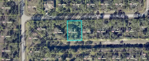 Lehigh Acres Canal Lot