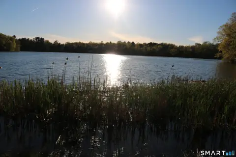 Land Near Mt. Tom Pond