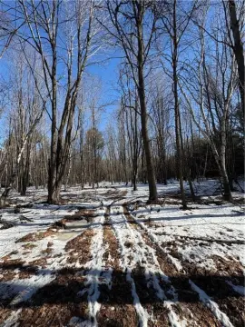 Humbird, WI 160-Acre Land Parcel