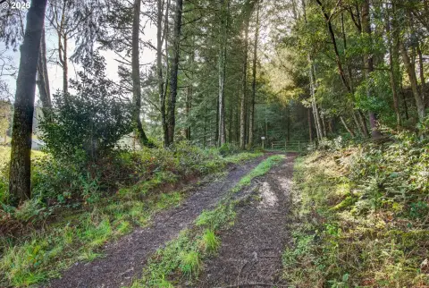 Coquille Timberland with Development Potential