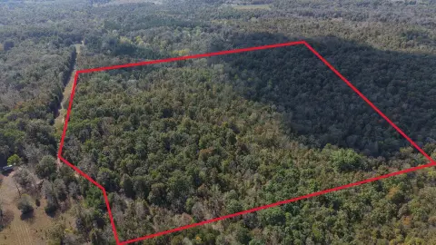 Wooded Hunting Land
