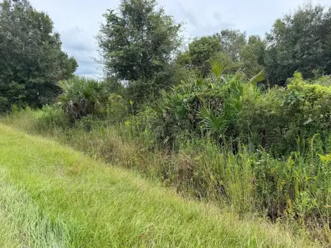 Land Parcel with Available Electricity