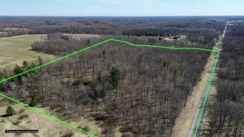 Cedar Springs Acreage with Hardwood Ridge