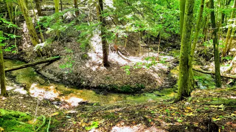 Onekama Land with Creek Frontage