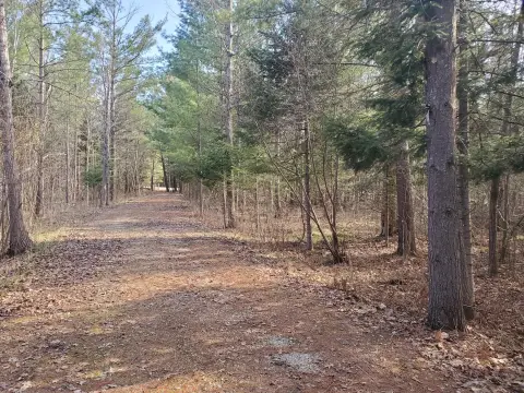 3-Acre Land Parcel with Frontage