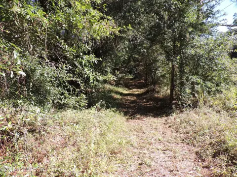 Jacksonville Development Land For Sale