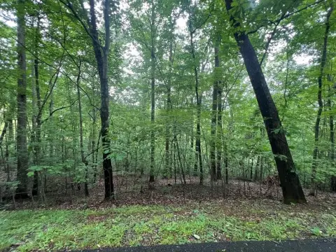 Hayesville Vacant Lot in Community