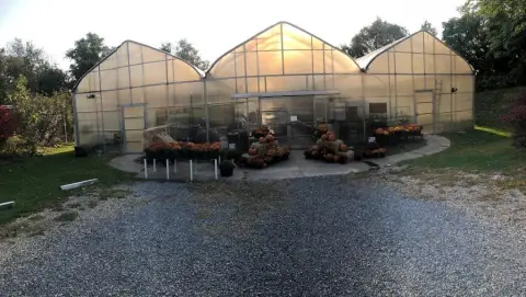 Greenhouse and Floral Business Opportunity