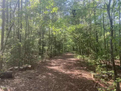 Wooded Land in Southwest Durham