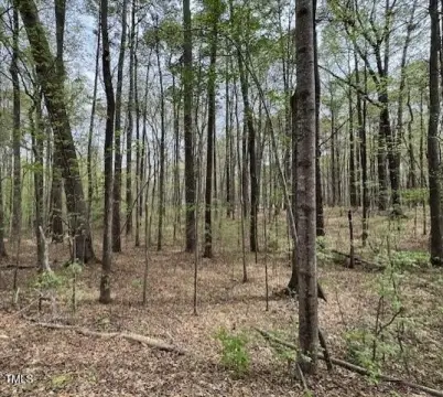 Wooded Lot in Littleton, NC