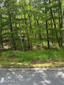 Residential Lot in Hemlock Farms