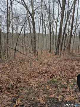 Residential Land in Southbury, CT