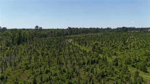 61 Acres Near Vidalia, GA