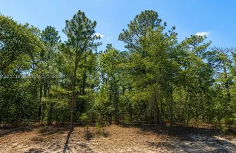 Rural Residential Building Lot